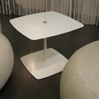 Anemone Tavolino bianco